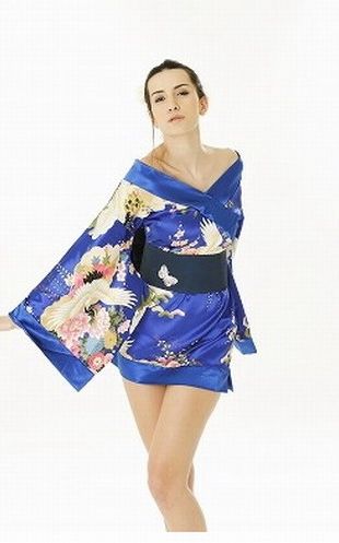 Intimate Lingerie Blue Satin Kimono Sexy Costume